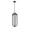 Z-Lite Leland Outdoor Chain Mount Ceiling Fixture, 1-Light, 9 In.W x 26 In.H, Sand Black/Sand Blast 5005CHB-BK-LED - alternate 1